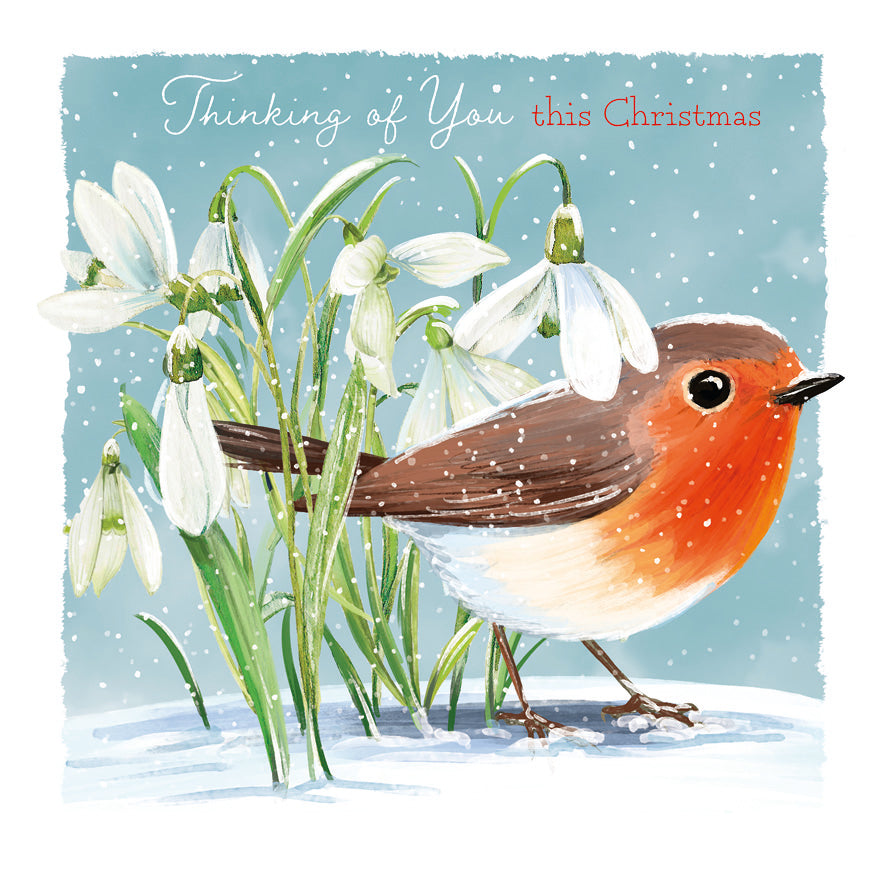 Snowdrop Robin
