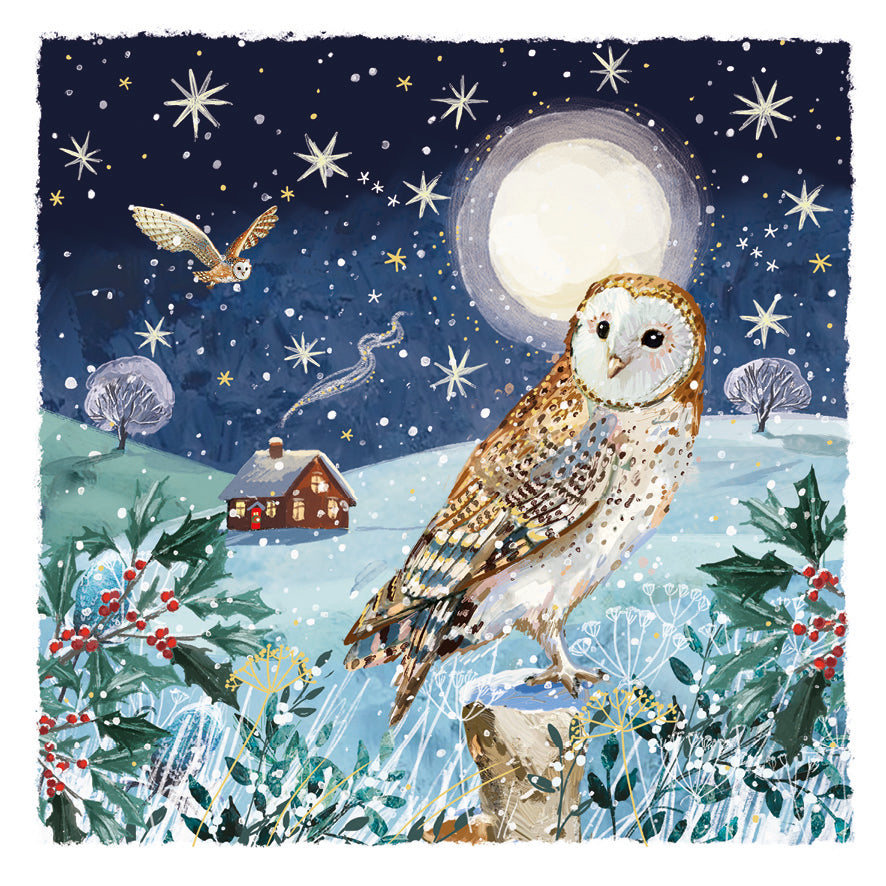 Winter Lookout