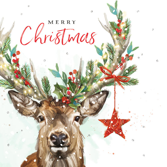 Decorated Stag
