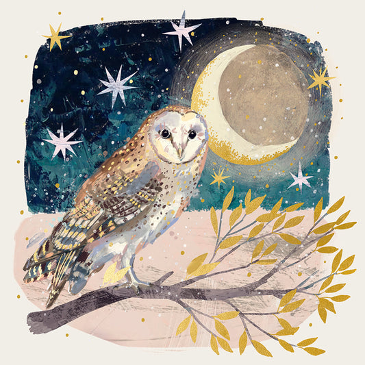 Moonlit Owl